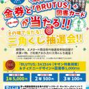 エメロード茅ヶ崎夏のセール